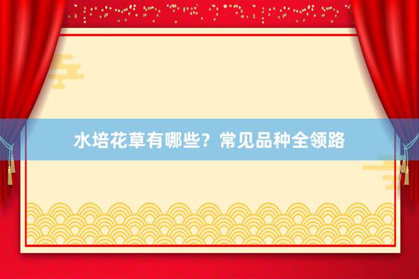 水培花草有哪些?常见品种全领路